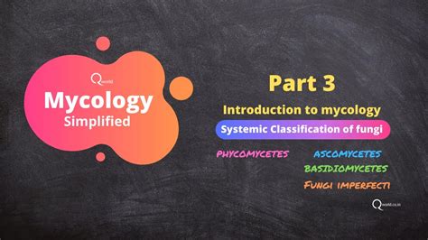 Mycology (fungi) tutorials Part 3: Introduction to mycology: Systemic classification of fungi ...