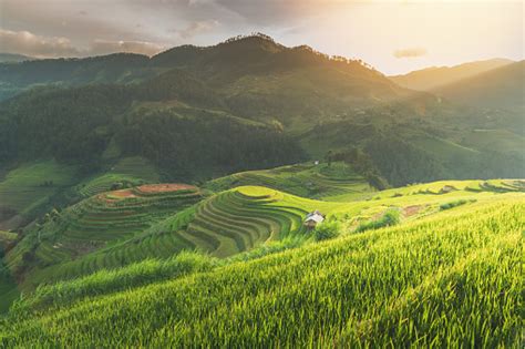 Vietnam Nature Pictures | Download Free Images on Unsplash