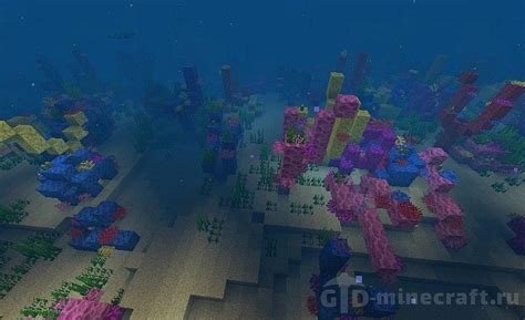 Island Near a Coral Reef Seed for Minecraft 1.17.1/1.16.5/1.15.2/1.14.4/1.13.2