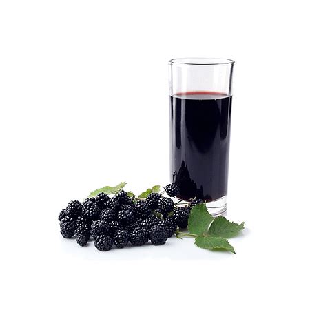 Blackberry Juice Concentrate – FruitHub