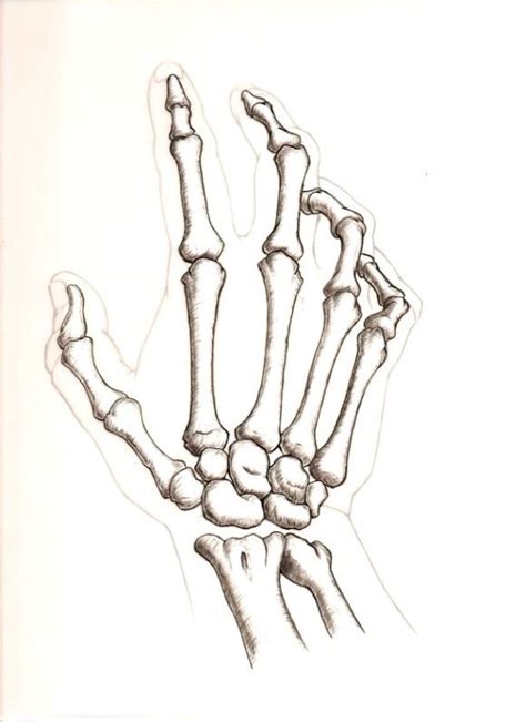 Skeleton Hand Drawing at PaintingValley.com | Explore collection of ...