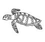 Sea Turtle Picture for Classroom / Therapy Use - Great Sea Turtle Clipart