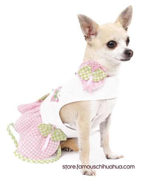 shop for dog summer dresses and more at our chihuahua clothes store ...