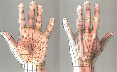 Hand topology - modelling, texturing, rendering, animation tutorial