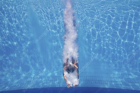 Woman diving underwater - Stock Image - F024/4078 - Science Photo Library