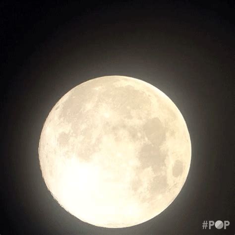 Full Moon GIF by GoPop - Find & Share on GIPHY