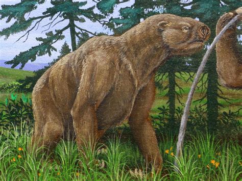 The Giant Sloths Of North America – MudFooted