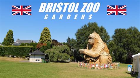 Bristol Zoo Gardens Map: Get the Most Out of Your Visit