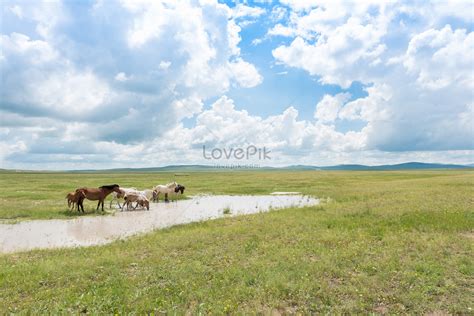 Inner Mongolia Grassland Picture And HD Photos | Free Download On Lovepik