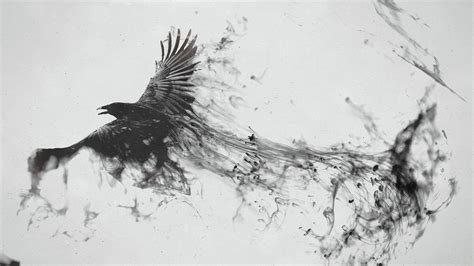 Raven Art Wallpapers on WallpaperDog