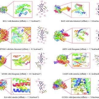 Molecular docking results. | Download Scientific Diagram