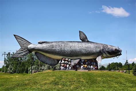 "Wahpper - The World's Largest Catfish" by Teresa Zieba | Redbubble