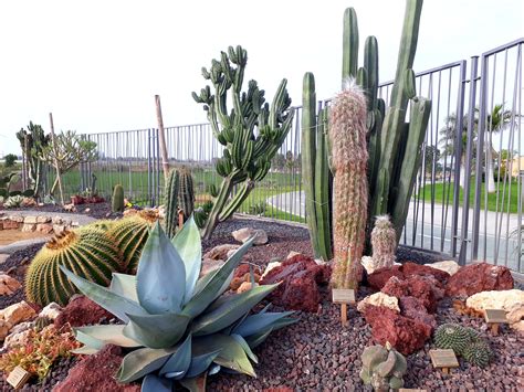 Jardín botánico de Cactus y Suculentas "Teresa" | https://motrilturismo.com