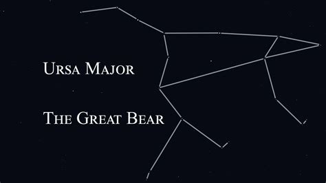 Ursa Major Bear