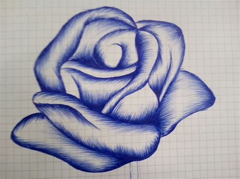 Rose Drawing Pen at GetDrawings | Free download