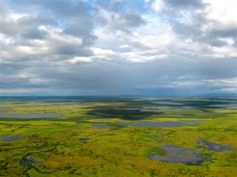 Why Does the Yukon Delta Always Look So Trippy? - Atlas Obscura