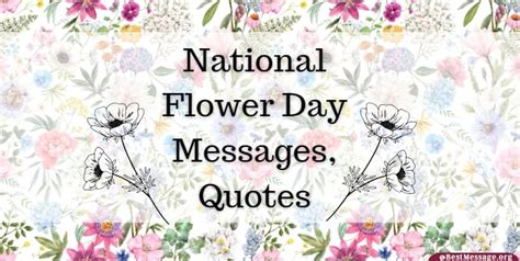 National Flower Day Messages, Flower Quotes for Her and Him