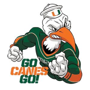 Miami Hurricanes Logo transparent PNG - StickPNG