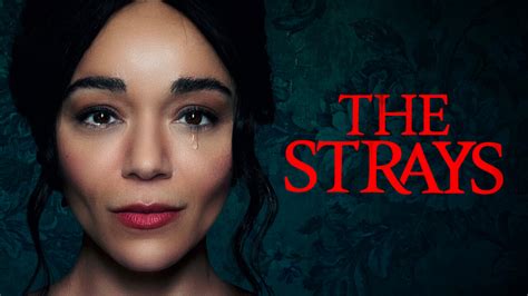 The Strays - Netflix Movie - Where To Watch