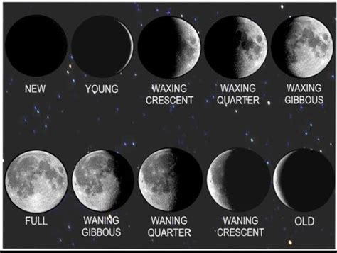 Image result for waxing crescent moon sketch | Moon phases, Moon tattoo ...