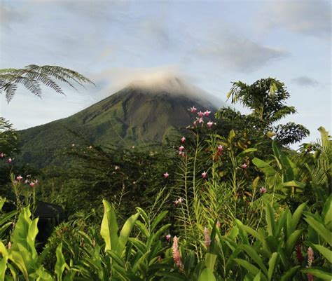 Ayahuasca Retreat Costa Rica - Ayahuasca Official