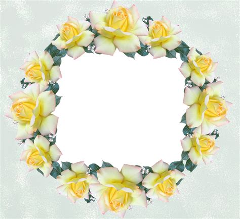 Frame Border Rose - Free photo on Pixabay - Pixabay