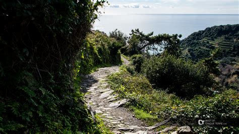 Trails. The long route Manarola - Volastra - Corniglia