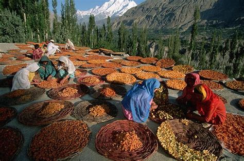 Hunza - The Truth, Myths, and Lies About the Health and Diet of the "Long-Lived" People of Hunza ...