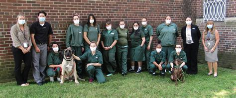 Albion Correctional Facility training dogs to prepare them for adopted ...