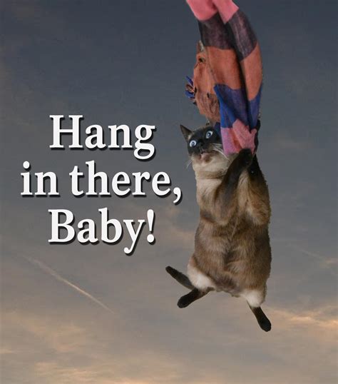 Hang In There Baby by bytor137 on DeviantArt