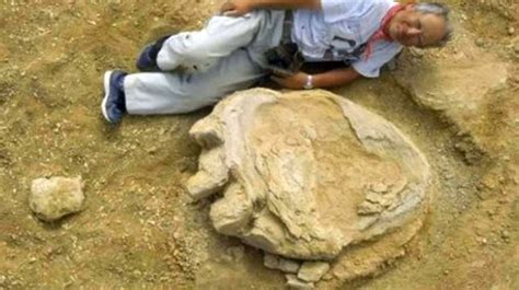 World's Largest Dinosaur Footprint Found In Mongolian Desert