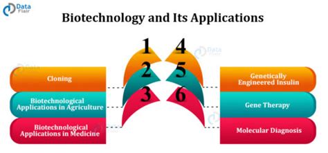 Biotechnology and its Applications - DataFlair