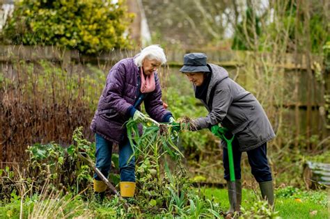 Gardening for Seniors: Benefits and 5 Easy Projects to Try | Greener Ideal