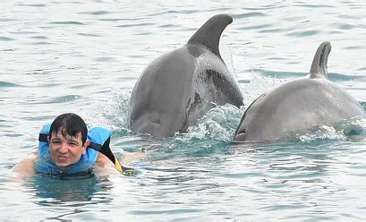 Cancun Mexico Royal Swim with Dolphins (800) 667-5524