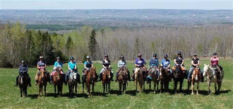 “The Fillies” of Nova Scotia – Horse Lovers, Trail Riders and Lifelong ...