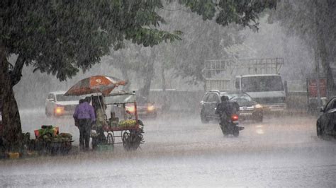 Alipore - Weather in Calcutta improves from Friday morning - Telegraph India