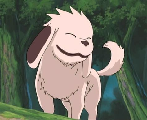 What’s a good anime name for a pup? : r/anime