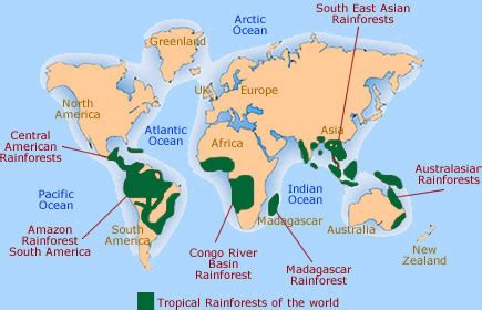 Global Tropical Rainforest Locations Map - Save the Tropical Rainforests