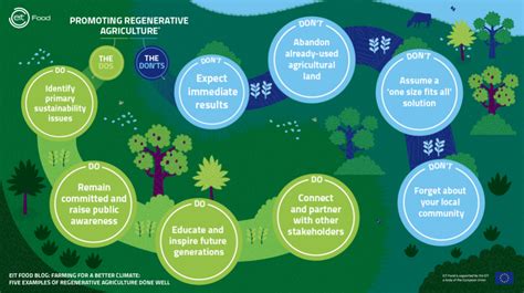 Farming for a better climate: five examples of regenerative agriculture done well | EIT Food