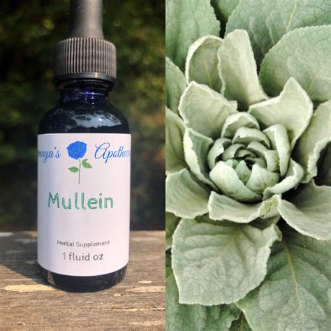 Mullein Tincture - Yemaya's Apothecary