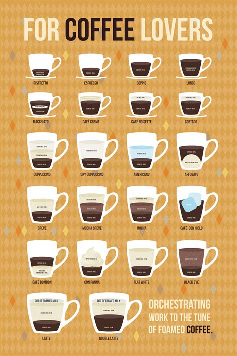 Beginner Guide's about Different Types of Coffee - Natgeos