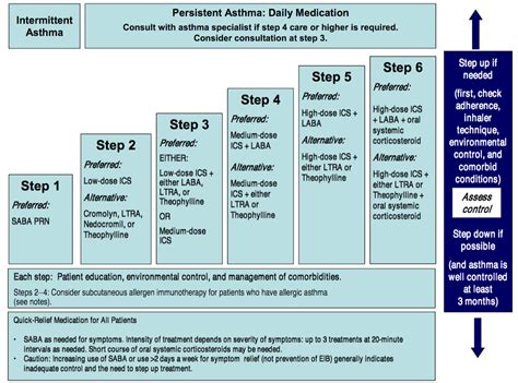 Stepwise Treatment of Asthma in Children 5–11 Years of Age | Time of Care