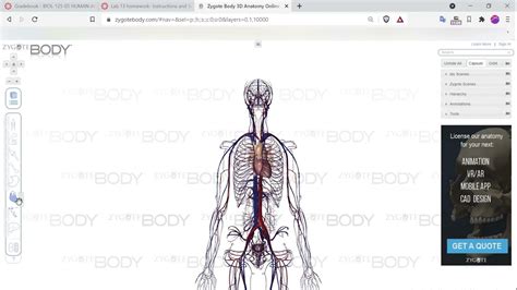 Zygote Body 3D website tutorial - YouTube