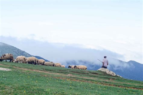 Ganadería ecológica: rentabilidad, qué es y para qué sirve | Be Origen