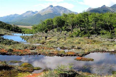 Tierra Del Fuego National Park With Lapataia Bay From Ushuaia: Triphobo