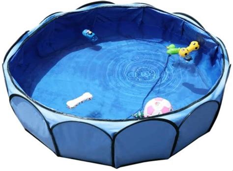 5 Best Dog Paddling Pools [Best Foldable, Compact, Large, Portable]