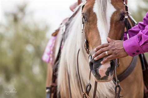 Matt Mills Reining Horses | Reining horses, Horses, Horse reining