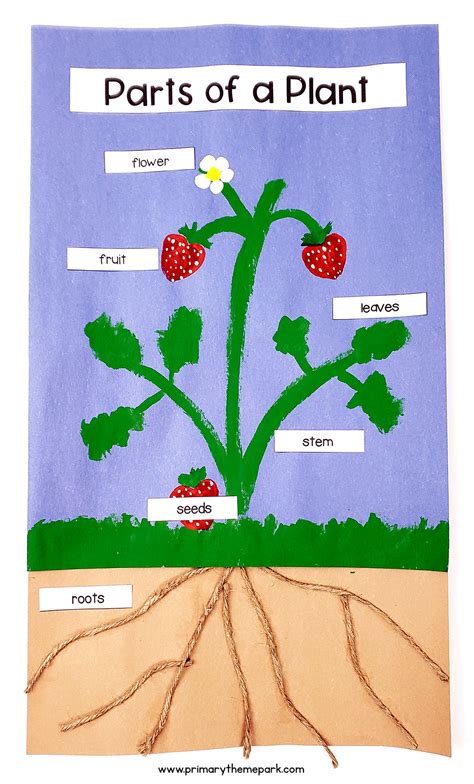 Parts of a Plant Craft - Primary Theme Park