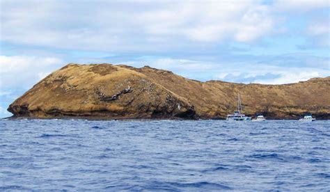 Snorkeling At Molokini Crater, Maui: Tour Tips To Know - Forever Karen