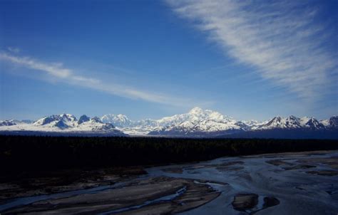 Camping in Denali National Park | ACTIVE